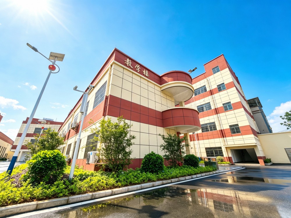 铜陵叛逆孩子全封闭教育学校探析:专业选择与价值考量